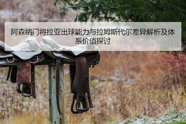 阿森纳门将拉亚出球能力与拉姆斯代尔差异解析及体系价值探讨